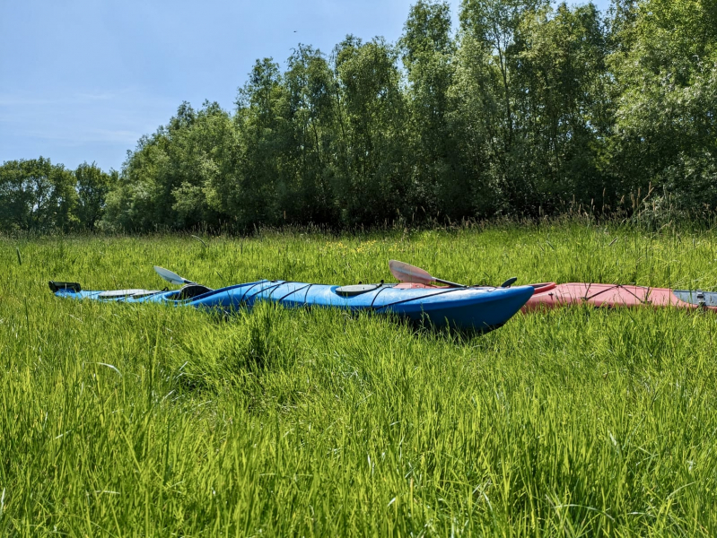 da6df1ea-ebaa-455c-82c8-96dbb617d802